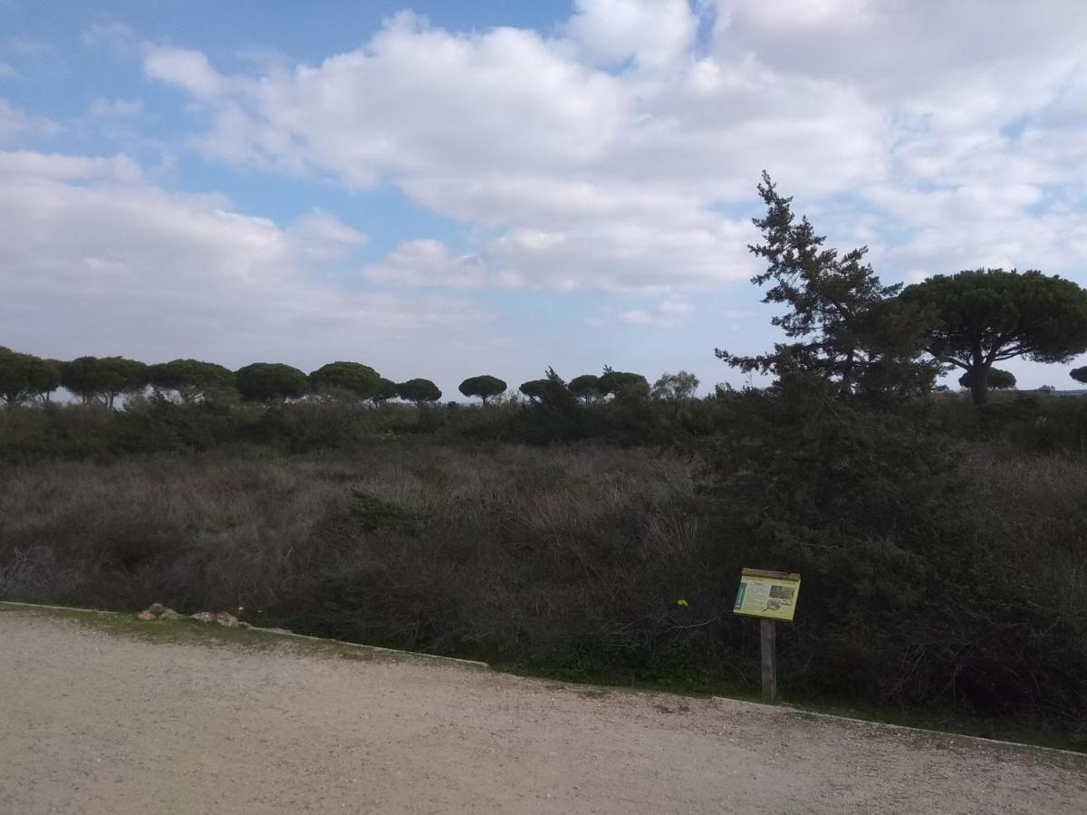 Tu Denscanso En Valdelagrana Frente Al Mar El Puerto de Santa María Exteriér fotografie